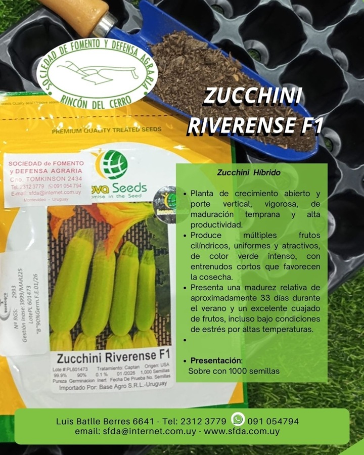 Instalaciones del almacén rural